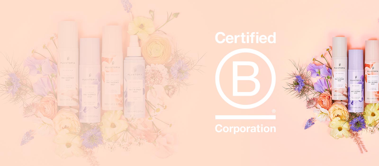 KMI is now a certified B Corp!