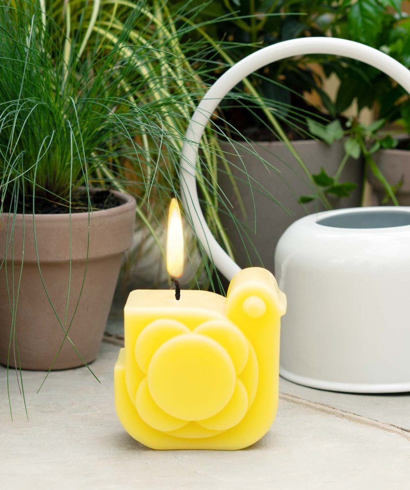 Orla Kiely launch new home fragrance collection KMI Brands Live